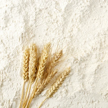 Farine de bl&eacute; tendre