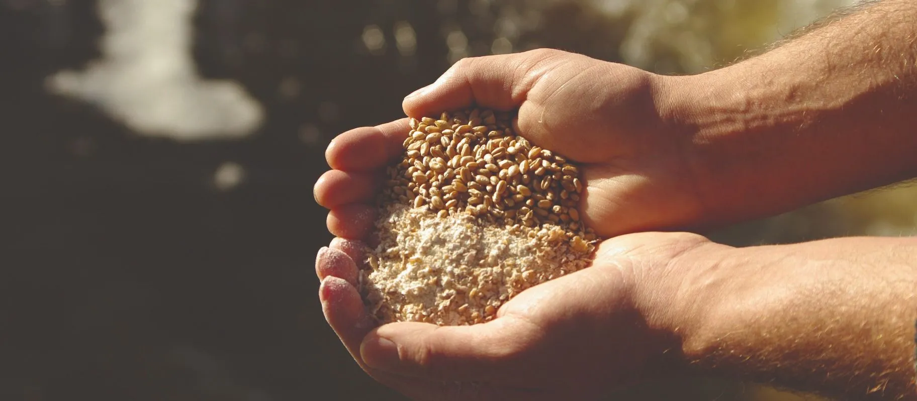 Un savoir-faire reconnu