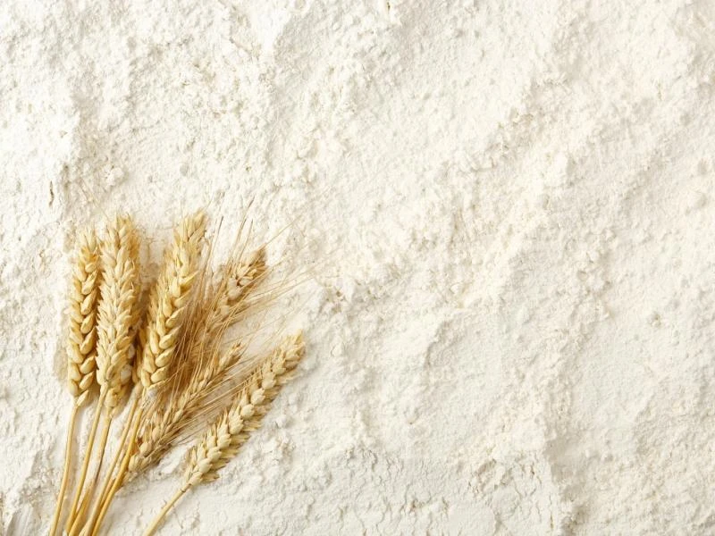 Exemple conseil préparation n°2